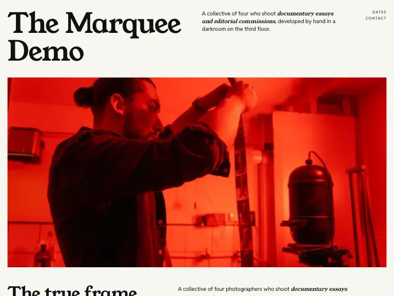 Darkroom template preview
