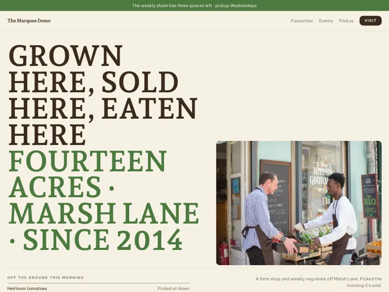 Loam template preview