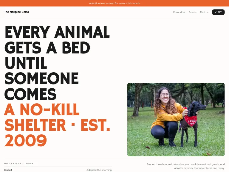 Shelter template preview